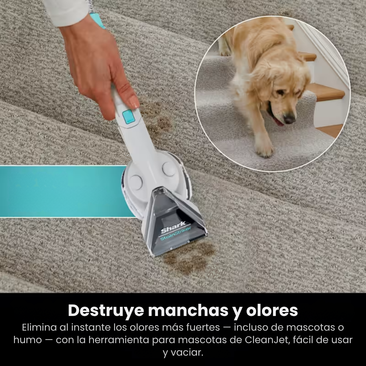 Aspirador Mastervac™