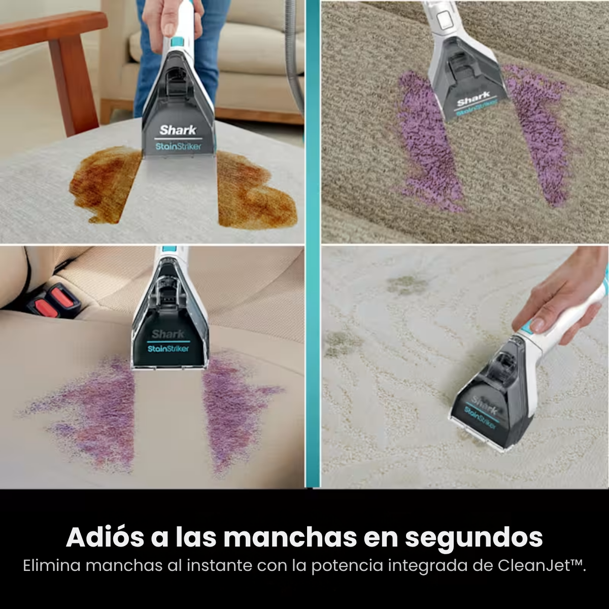Aspirador Mastervac™